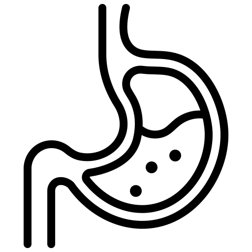 Stylized illustration of a human stomach, showing its shape and internal contents. Represents digestive processes relevant to health discussions.